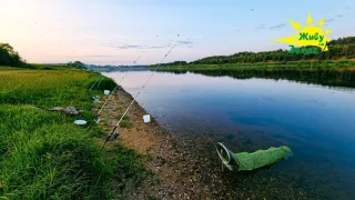 1 Рыбалка С Ночёвкой 2023. Донки Крокодил Оснастка работает!