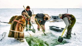 Рыбный промысел Карского моря | Полярные истории