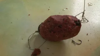 Каша для карася, карпа, плотвы - не хуже магазинной