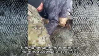 Рыбоохрана на страже тихоокеанских лососей