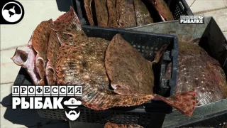 Промысловый лов камбалы. Калкан. Крым | Профессия рыбак