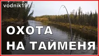 Атака ТАЙМЕНЯ НА МЫША днем!