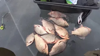 Зимняя рыбалка на поплавок, кивок, мормышку
