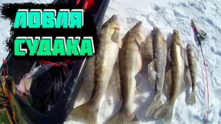 МАРТОВСКИЕ СУДАКИ ОТ 1КГ ДО 2.5КГ