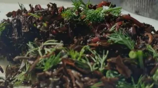 Как сделать насадку червяка уловистым?