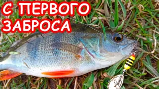 ЛОВЛЯ ОКУНЯ НА СПИННИНГ ВЕСНОЙ