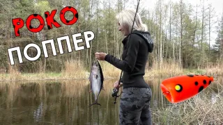 ПОКО ПОППЕР - УБОЙНАЯ СНАСТЬ НА СПИННИНГ!