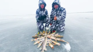 ПЕРВЫЙ ЛЁД! Щуки и Горбачи. Жерлицы горят!