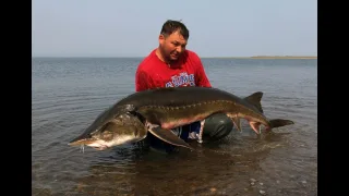 Ловля Калуги в Охотском море