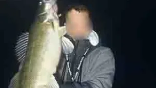 Рыбалка с гидом на Рузском водохранилище