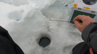 Пять основных ошибок мормышечника