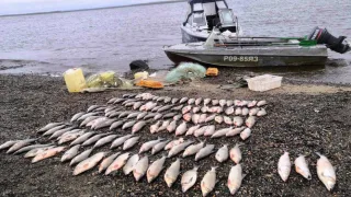 Росрыболовство удвоило объем изъятой у браконьеров рыбы