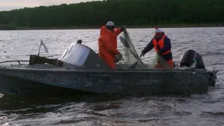 Хабаровский край сегодня