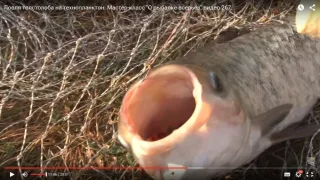 О рыбалке всерьез