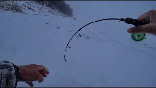 Рыбалка на Оби,Килограммовые окуни,судак !