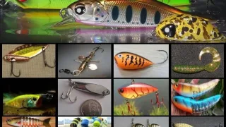 Какие существуют приманки для ловли на спиннинг?