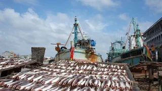 Производство в России продукции высокого передела заметно выросло