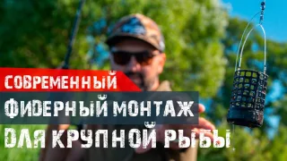 Современный фидерный монтаж для крупной рыбы - 3 модификации