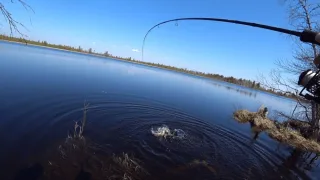 ЗАБРАЛИСЬ НА КАЯКЕ В САМУЮ ГЛУШЬ,РЫБА ЗДЕСЬ ДИКАЯ И СИЛЬНАЯ.РЫБАЛКА НА СЕВЕРЕ.