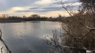 Рыбалка в Краснодаре - это хутор Ленинский р. Кочеты