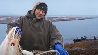 Жирная река. Документальный фильм