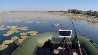 Поплавочная удочка для ловли карася - монтаж оснастки
