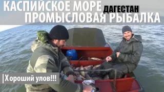 Промысловая рыбалка на Каспийском море. Кизляр, Дагестан