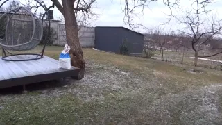 Что делать, чтобы абрикосы не зацвели в заморозки?