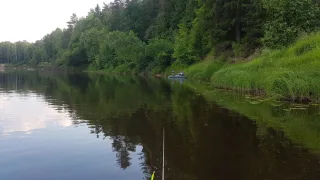 Река Керженец (д. Хахалы) Нижегородская область