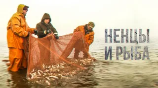 Ненцы и рыба. Промысловая рыбалка на Крайнем Севере