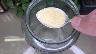 Эффективная подпитка для комнатных растений и цветов
