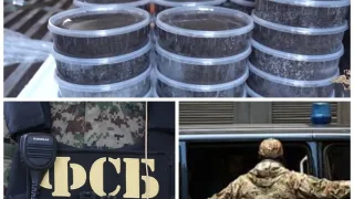 В Московском регионе изъяли незаконную партию краба и черной икры