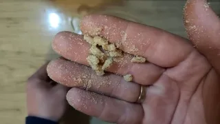 Как приготовить мохнатую перловку для ловли карася и плотвы