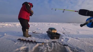 Финский залив - рыбалка первый лед 2023 - 24