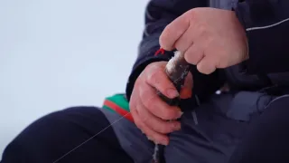 Секреты по ловле плотвы на мормышку