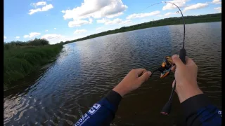 Ловля окуня на ультралайт