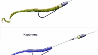 Каролинская и Техасская оснастка от А до Я