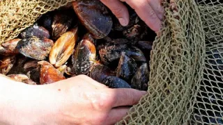 Сразу три союза обратились к министру природных ресурсов