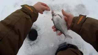 Зимняя рыбалка. Я на Воронежском водохранилище