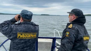 Подведены итоги работы рыбоохраны за три квартала 2023 года