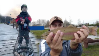 Ловим форель с сыном на платнике!