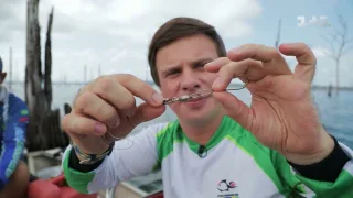 Поймать черную пиранью и необычное поселение на воде. Бразилия
