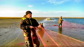 Рыбалка сетями на омуля. Налим. Хариус. Голец. Полярный Урал. Карское море