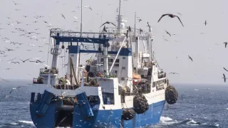Уйдет ли рыболовный флот из российской Арктики в иностранные морские воды?