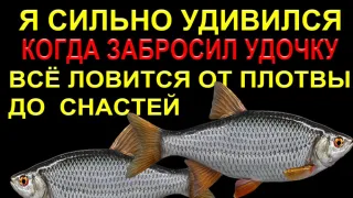 РЕКА СУХОНА ВСЕГДА УДИВЛЯЛА ТРОФЕЯМИ!