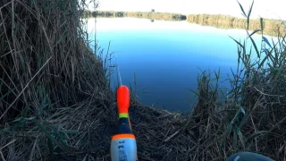 Короткая рыбалка. Ловля на поплавок. Прикормка пшено с макухой. Разнорыбица