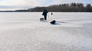 Как раскачать лунку зимней блесной