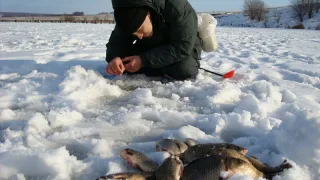 Ловля карася зимой с лунки
