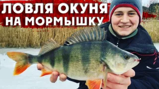 Зимняя рыбалка