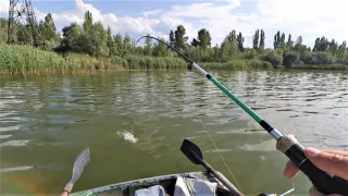 Ловля окуня на воблеры